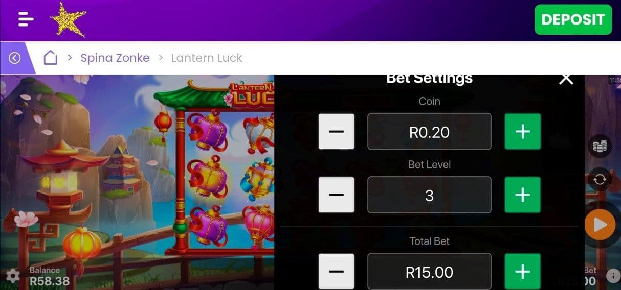 Decide how much you're willing to bet