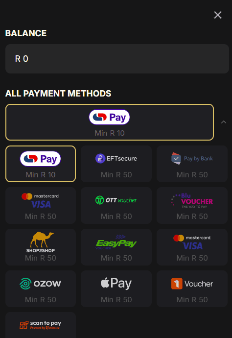 Deposit Methods at Pantherbet