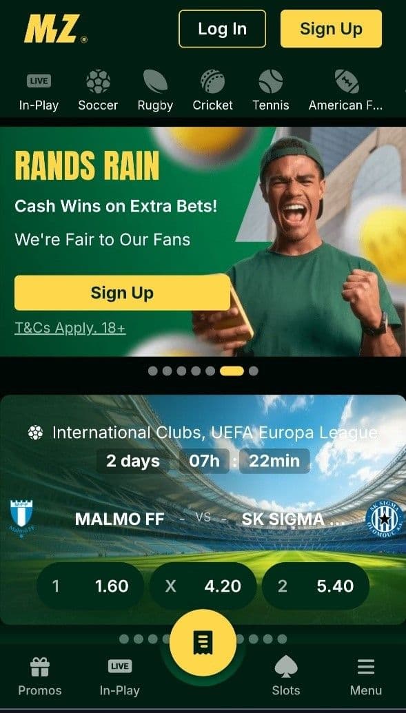 Enter the necessary information Mzansibet