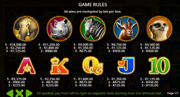 Game Symbols & Payouts!