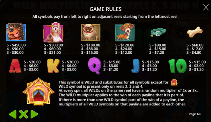Game Symbols and Payouts dog house SA