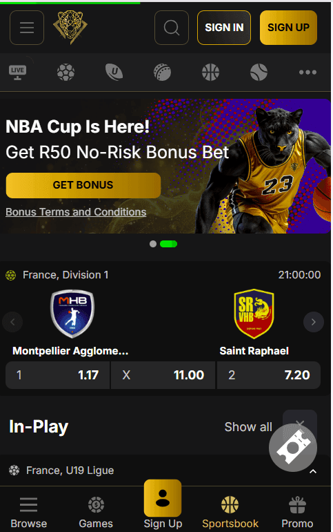 Go to pantherbet.co.za in your browser.