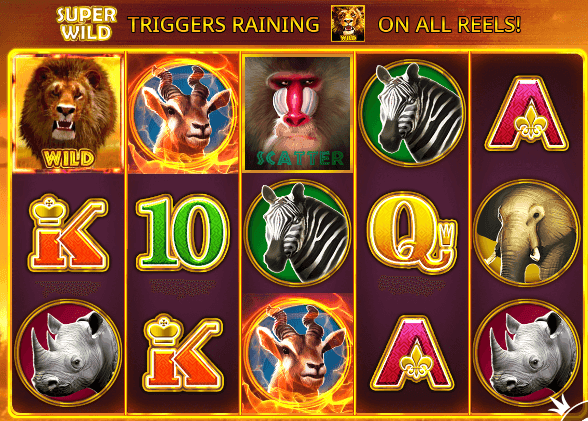 Hot Safari’s Special Symbols