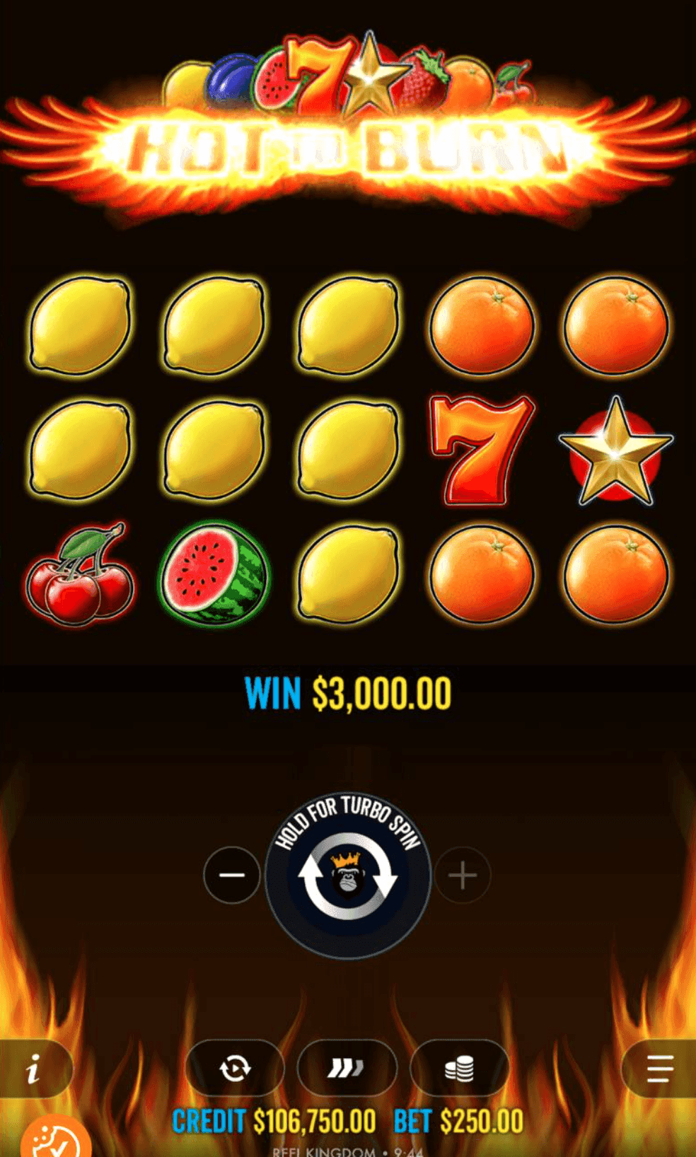 Hot to Burn Demo Version and Free Play.png