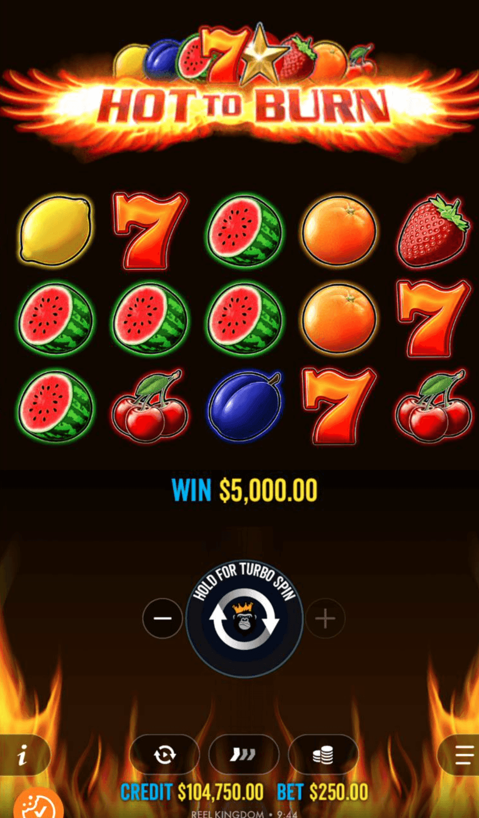 Hot to Burn Expert Tips