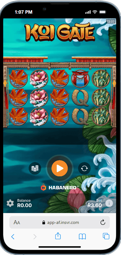 Koi Gate Demo Version and Free Play