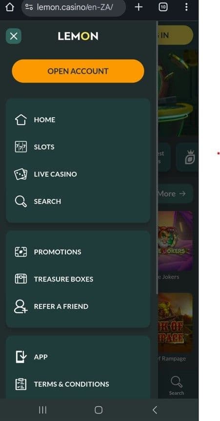 Open the Left-Hand Pane.jpg