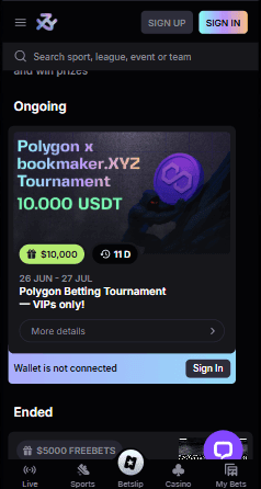 Other Promotions & Limited-Time Offers bookmaker xyz.png