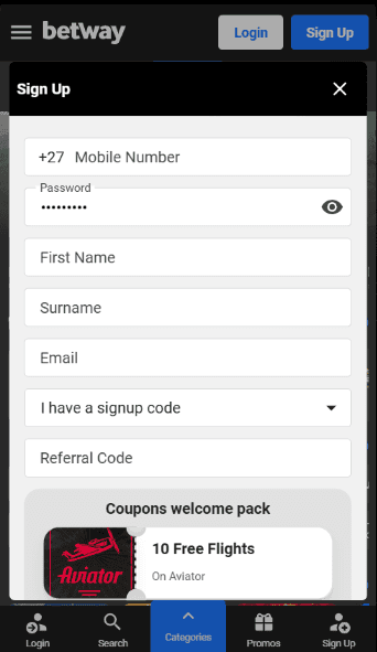 Online Baccarat for Real Money in South Africa Playing Guide