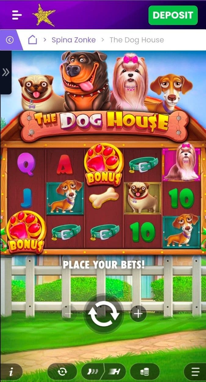 The Dog House Mobile Play Experience