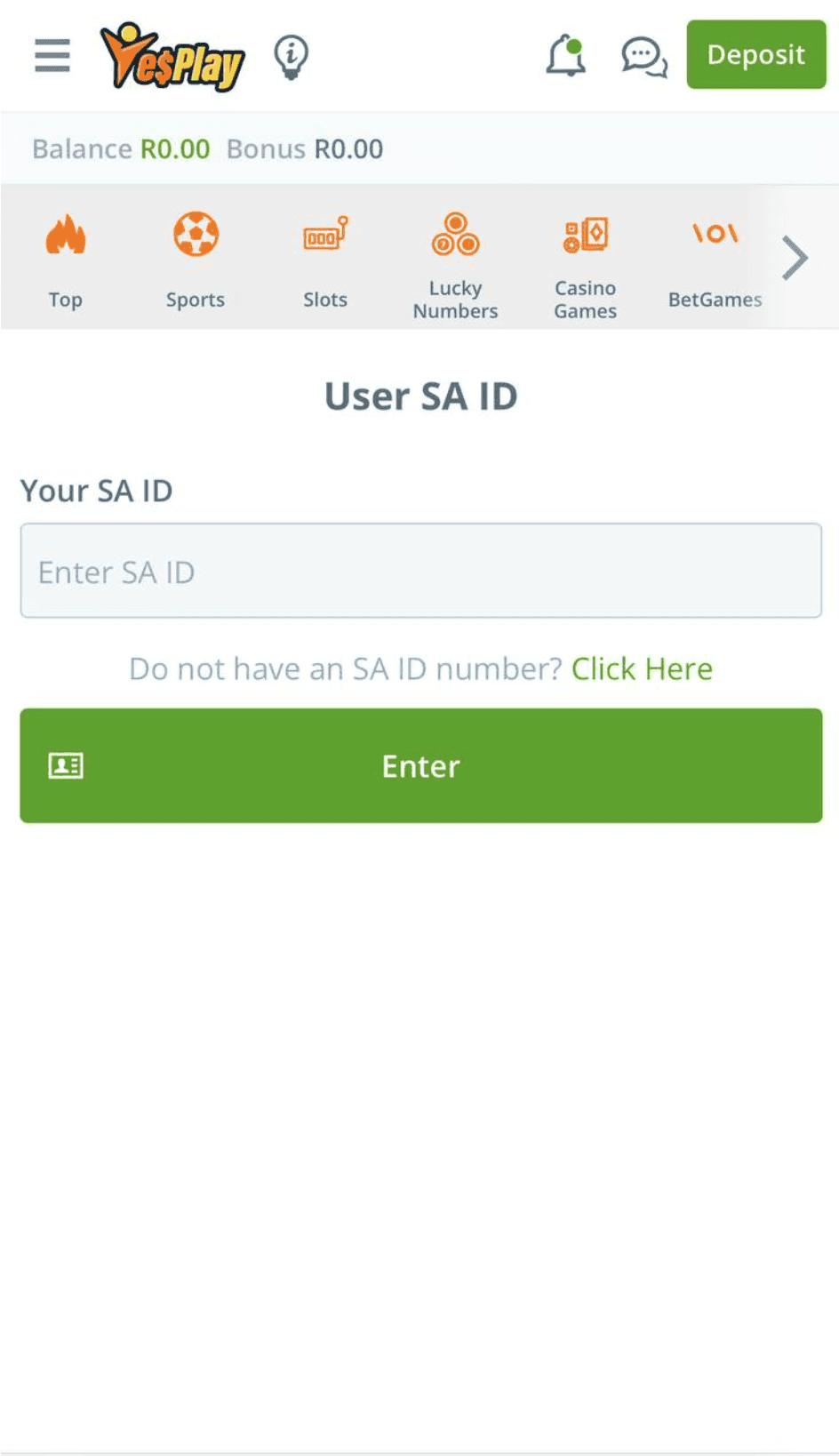 Type in your South African ID number.