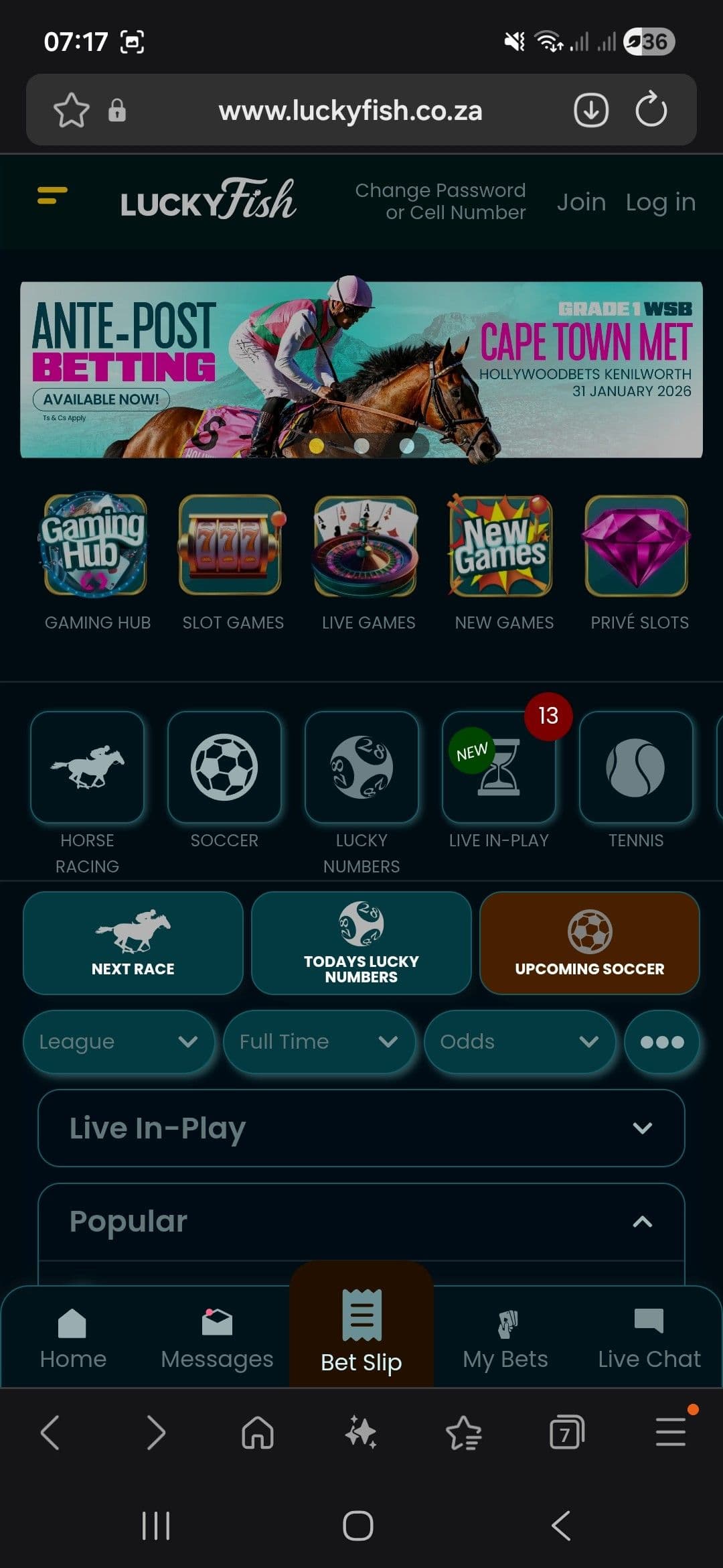 Visit their website at www.Luckyfish.co.za