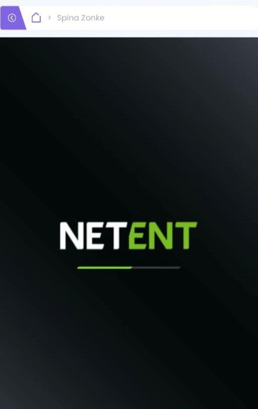 Wild Wild West Slot Review.