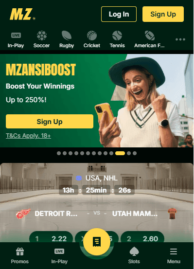 You can now accept the terms and conditions 