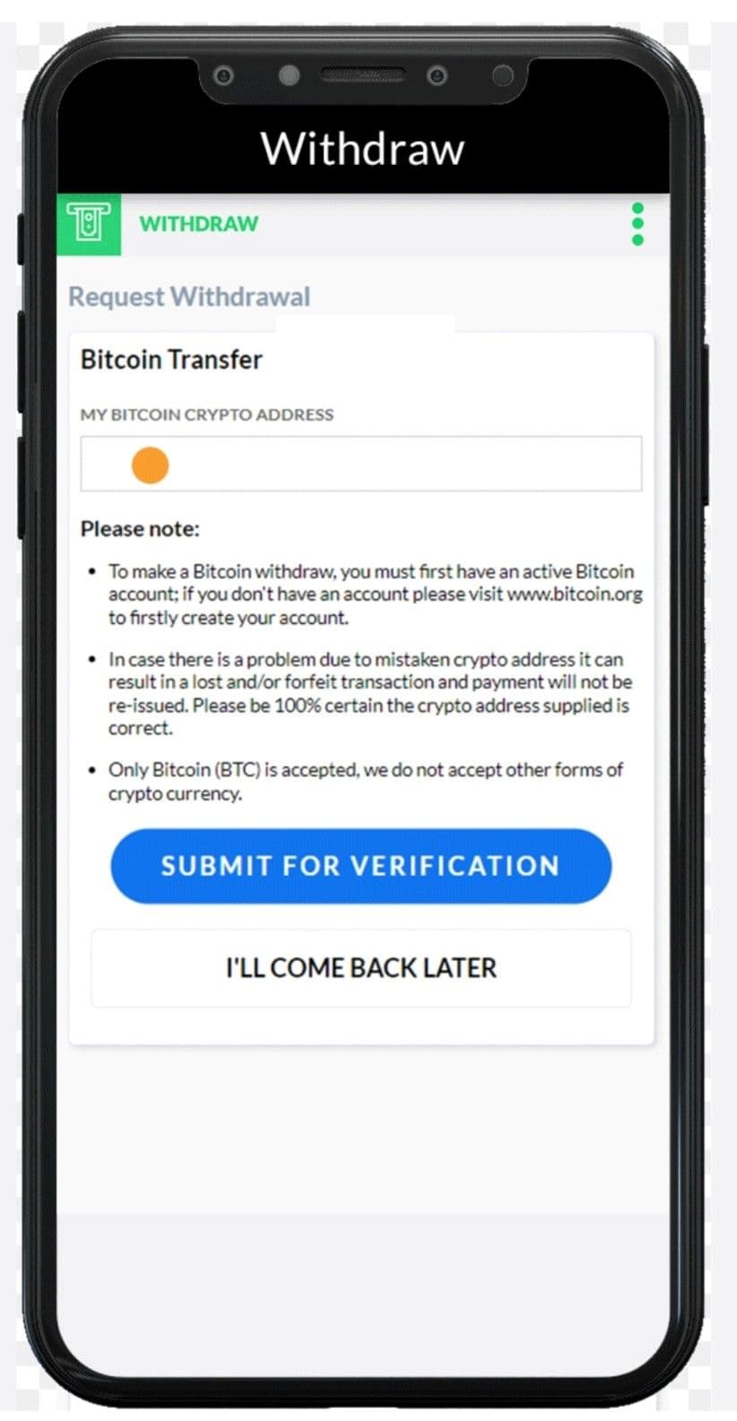 make sure to enter your Bitcoin crypto address 