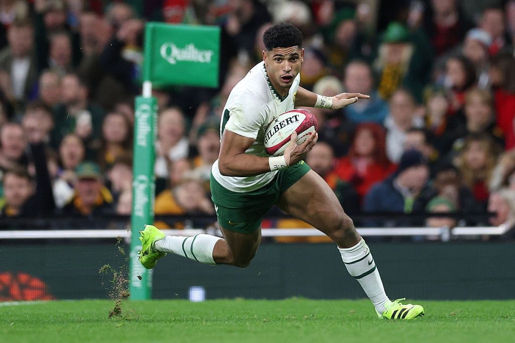 Wales v South Africa - Quilter Nations Series 2025