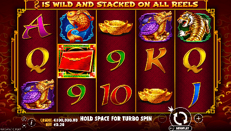 8 Dragons Slot Review 2025