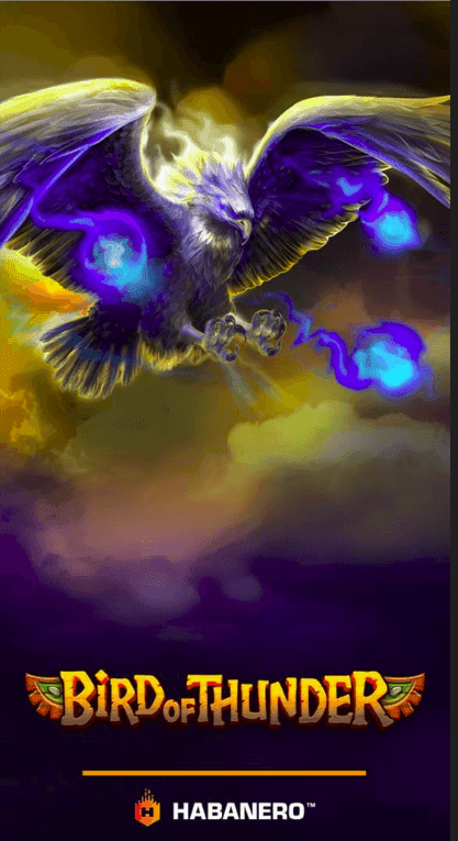 Bird of Thunder Demo Version and Free Play