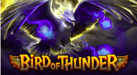 Bird of Thunder Demo & Review