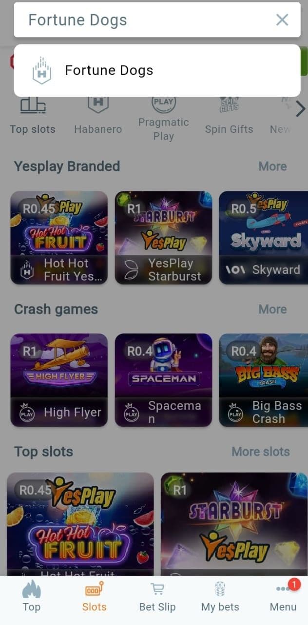 Navigate to the slots lobby and search Fortune Dogs