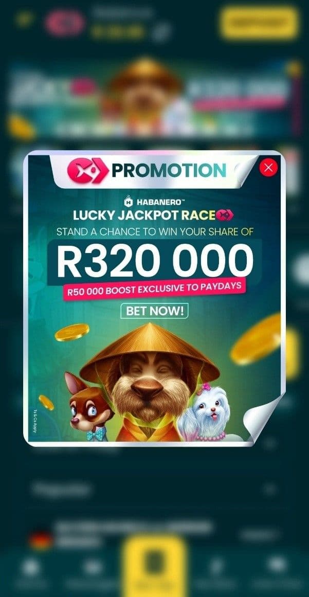 Other Promotions & Limited-Time Offers..