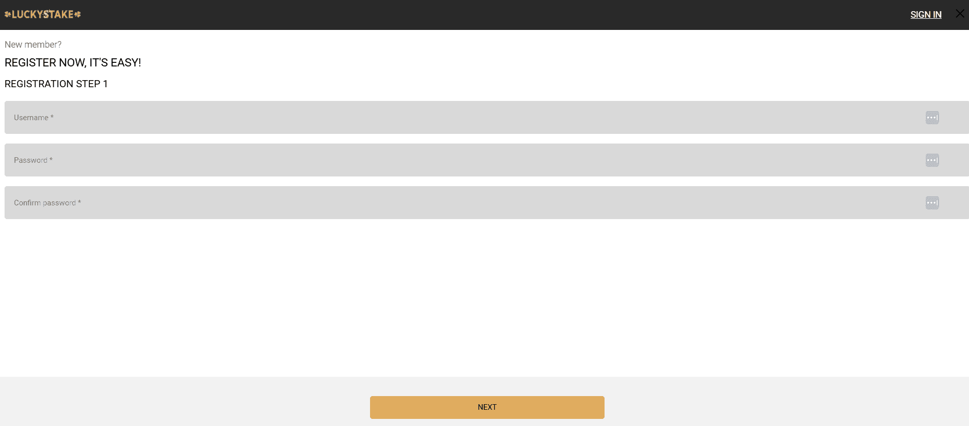 Provide your basic information, such as your ID number and source of income