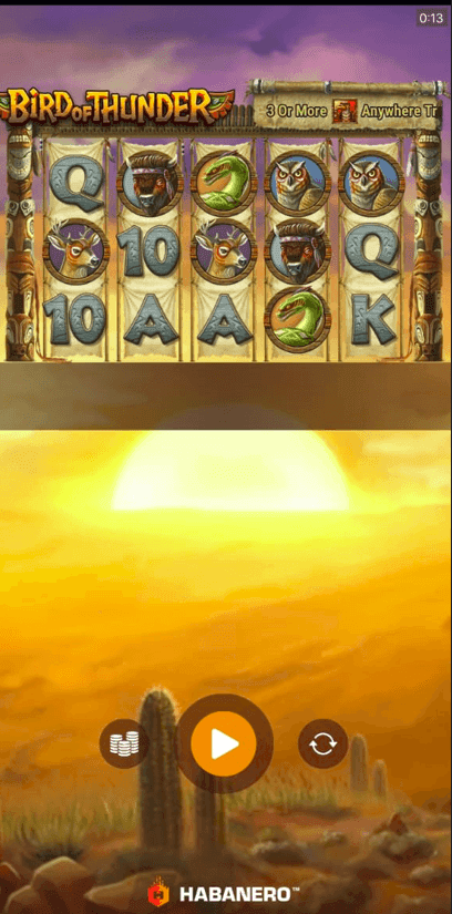 Reel Rows and Paylines bird of thunder