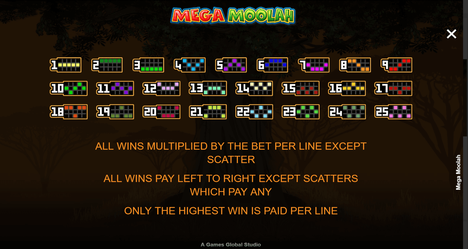 Reels, Rows, Paylines mega moolah