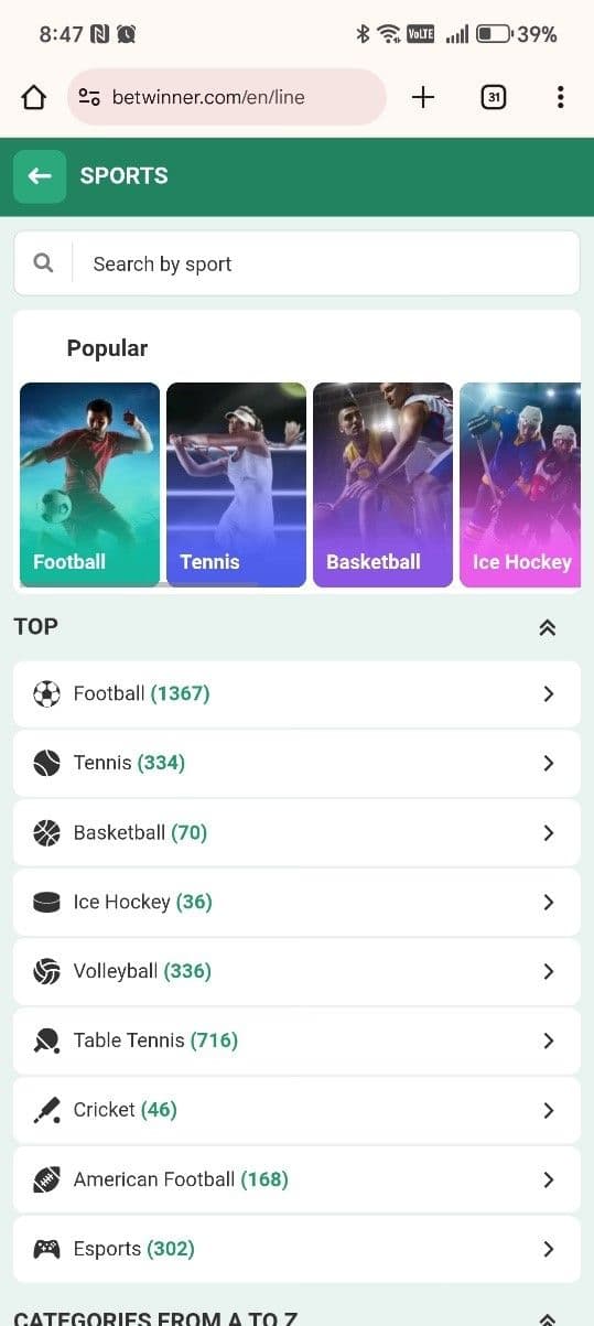 Start exploring the BetWinner casino game