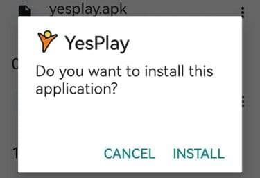 YesPlay App confirmation
